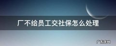 厂里不交社保怎么办 厂不给员工交社保怎么处理