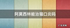 阿莫西林能治猫口炎吗 猫口炎吃消炎药