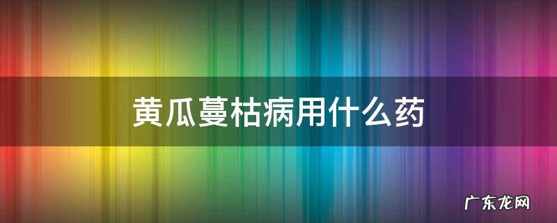 黄瓜蔓枯病用什么药 黄瓜蔓枯病用什么药剂涂抹病斑