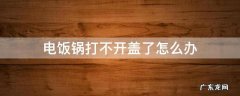 电饭锅打不开盖了怎么办 苏泊尔高压电饭锅打不开盖了怎么办
