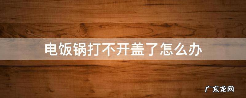 电饭锅打不开盖了怎么办 苏泊尔高压电饭锅打不开盖了怎么办