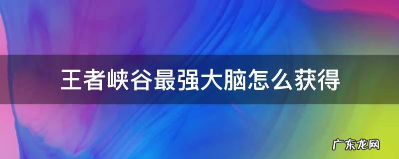 峡谷最强大脑怎么获得? 王者峡谷最强大脑怎么获得
