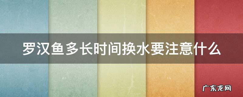 罗汉鱼多长时间换水要注意什么 罗汉鱼多长时间换水要注意什么细菌
