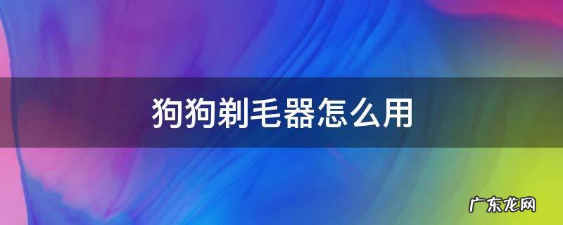 狗狗剃毛器怎么用 狗狗剃毛机使用方法