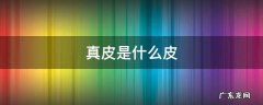 真皮是什么皮 生态真皮是什么皮