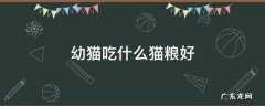 幼猫吃什么猫粮好 英短幼猫吃什么猫粮好