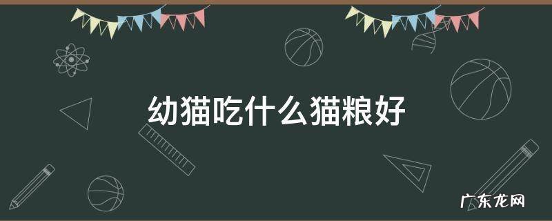 幼猫吃什么猫粮好 英短幼猫吃什么猫粮好