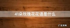 41朵玫瑰花花语是什么意思 41朵玫瑰花花语是什么