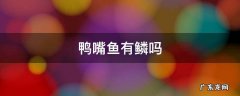 鸭嘴鱼有鳞吗 翘嘴鱼有鳞吗