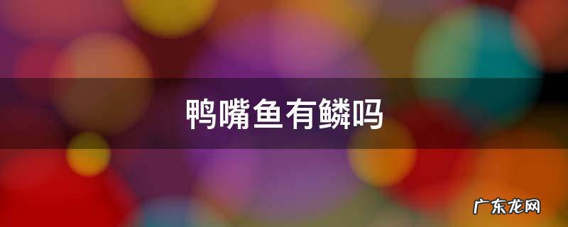鸭嘴鱼有鳞吗 翘嘴鱼有鳞吗