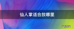仙人掌不适合放哪里? 仙人掌适合放哪里