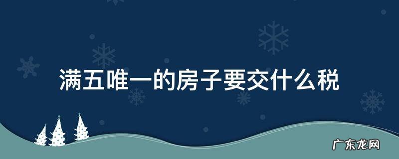 出售满五唯一的房子要交什么税 满五唯一的房子要交什么税