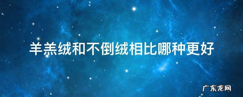 羊羔绒好还是超柔不倒绒好 羊羔绒和不倒绒相比哪种更好