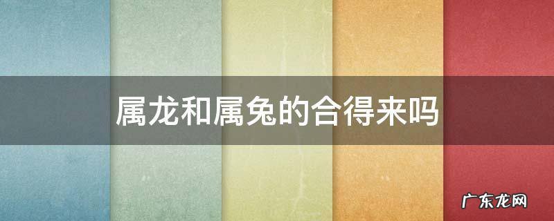 属龙和属兔的合得来吗 属龙的和属兔的合得来吗