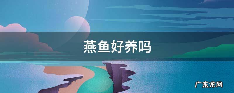 七彩燕鱼好养吗 燕鱼好养吗