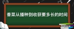 香菜从播种到收获要多长的时间 香菜从播种到采收需要多少天