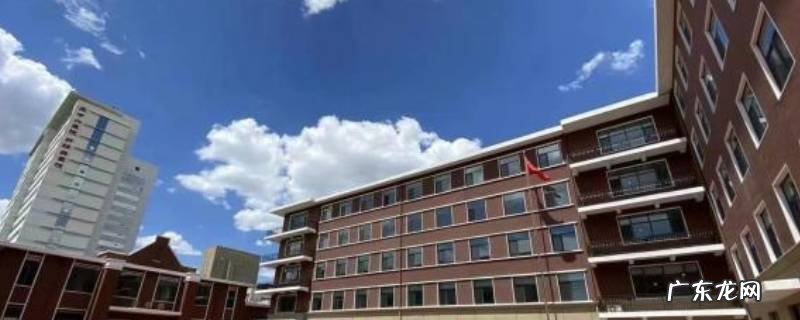 天津河东实验新校区 天津河东实验有校车吗