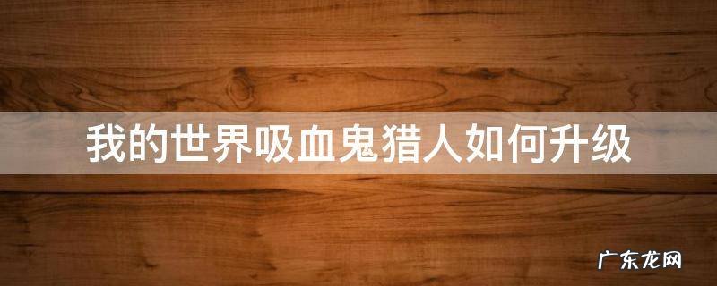 我的世界吸血鬼猎人如何升级 我的世界吸血鬼猎人如何升级到5级