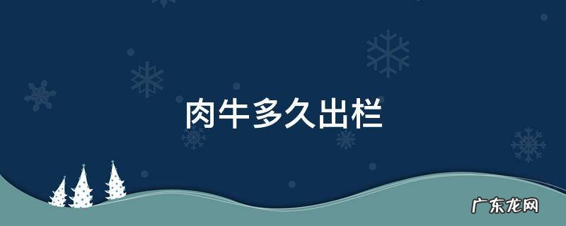 肉牛养殖多久出栏 肉牛多久出栏