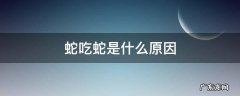 蛇吃蛇的原因 蛇吃蛇是什么原因
