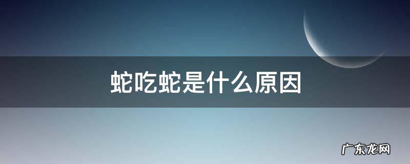 蛇吃蛇的原因 蛇吃蛇是什么原因