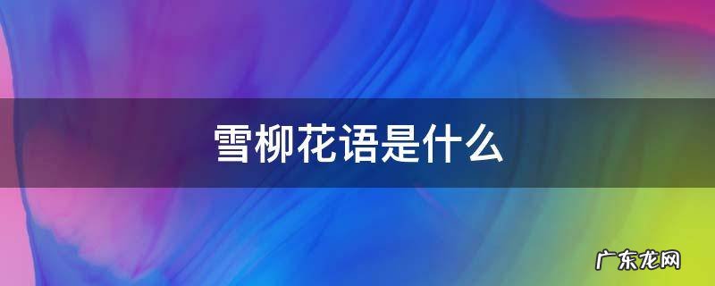雪柳花寓意 雪柳花语是什么