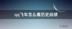 qq飞车怎么看历史战绩 qq飞车怎么看历史战绩看和谁玩的