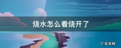 烧水怎么看烧开了 烧水时怎样知道水烧开了