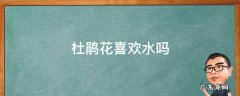 杜鹃花喜欢水吗 杜鹃花喜欢水吗几天浇一次水