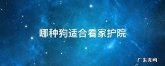 哪些狗适合看家护院 哪种狗适合看家护院