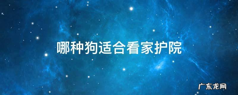 哪些狗适合看家护院 哪种狗适合看家护院