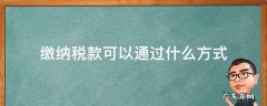 怎样缴纳税款 缴纳税款可以通过什么方式
