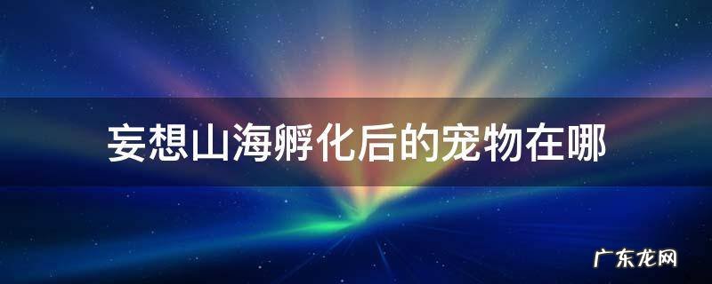 妄想山海经孵化的宠物在哪 妄想山海孵化后的宠物在哪