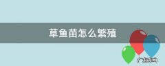 草鱼苗怎么繁殖视频 草鱼苗怎么繁殖