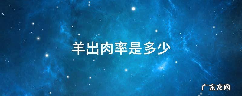 羊出肉率是多少 育肥羊出肉率是多少