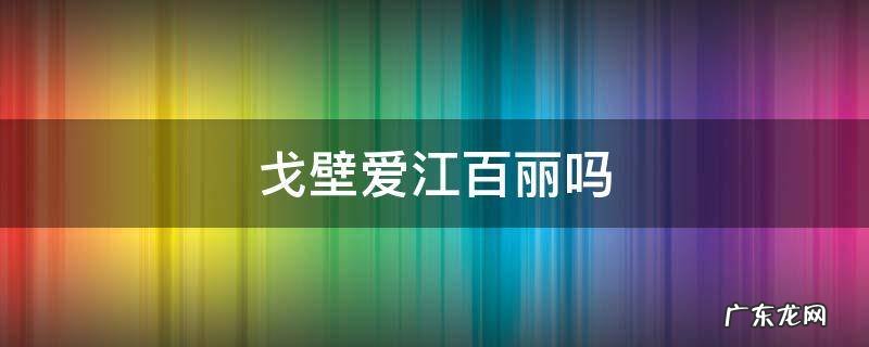 戈壁和江百丽 戈壁爱江百丽吗