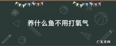 养什么鱼不用打氧气不用加热棒 养什么鱼不用打氧气
