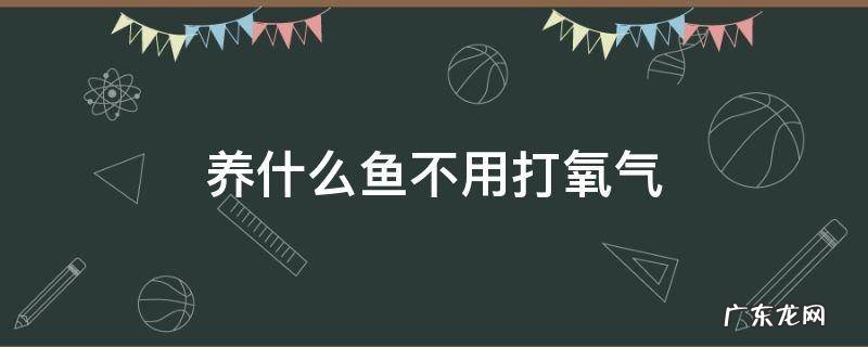 养什么鱼不用打氧气不用加热棒 养什么鱼不用打氧气