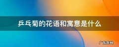 乒乓菊的花语的意思是什么 乒乓菊的花语和寓意是什么