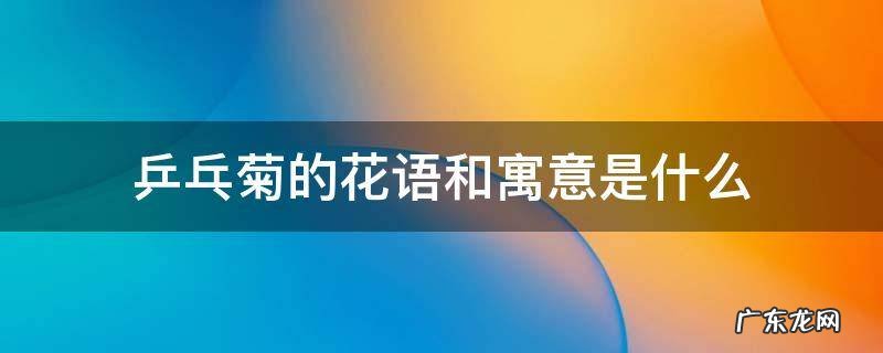 乒乓菊的花语的意思是什么 乒乓菊的花语和寓意是什么