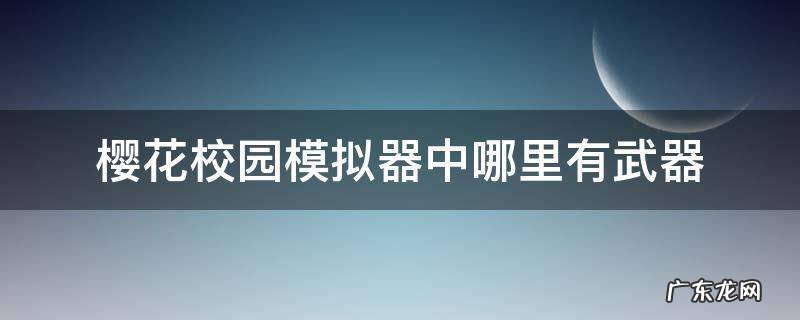 樱花校园模拟器中哪里有武器 在樱花校园模拟器怎么获得武器