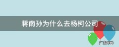 蒋南孙为什么去杨柯公司 南孙为啥去杨柯公司