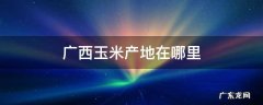 广西玉米产地在哪里 广西糯玉米产地在哪里