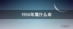 1956年属什么命 1956年属什么命金木水火土