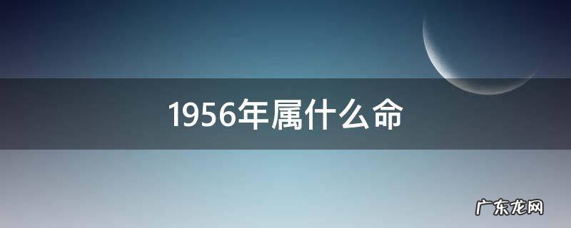 1956年属什么命 1956年属什么命金木水火土