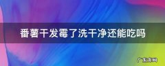番薯干发霉了洗干净还能吃吗 番薯干发霉了怎么办