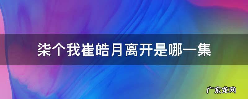 柒个我崔皓月出场集数 柒个我崔皓月离开是哪一集