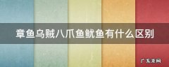 章鱼乌贼八爪鱼鱿鱼有什么区别 章鱼和八爪鱼乌贼鱿鱼