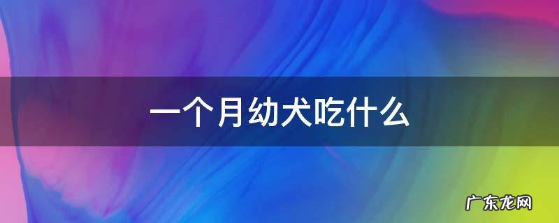 一个月幼犬吃什么羊奶粉 一个月幼犬吃什么