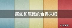属蛇和属鼠的合得来吗 属鼠的与属蛇的合吗